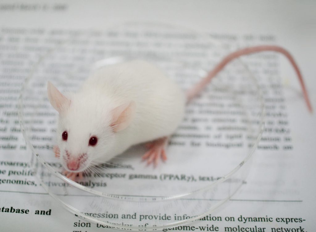 セノリティクスの問題点