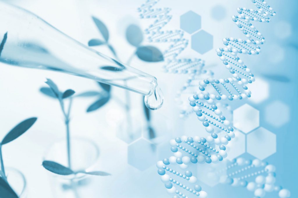 幹細胞上清液とは？点滴での効果や費用、安全性なども解説